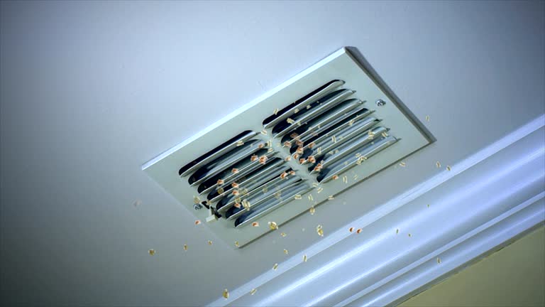 Best HVAC Duct Inspection Services  in Tillson, NY